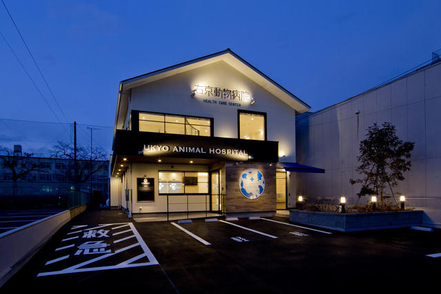 株式会社mousetrapの求人情報