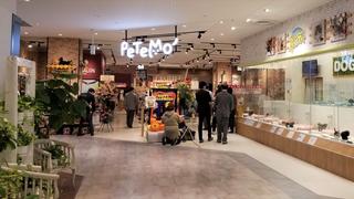 有限会社リーフの求人転職情報