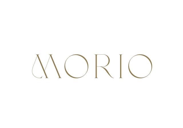 株式会社MORIO