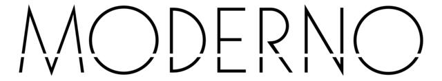 株式会社モデルノ
