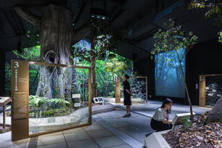 有限会社デンバクファノデザインの求人転職情報その10