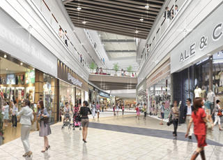 株式会社 マッシュの求人転職情報その1